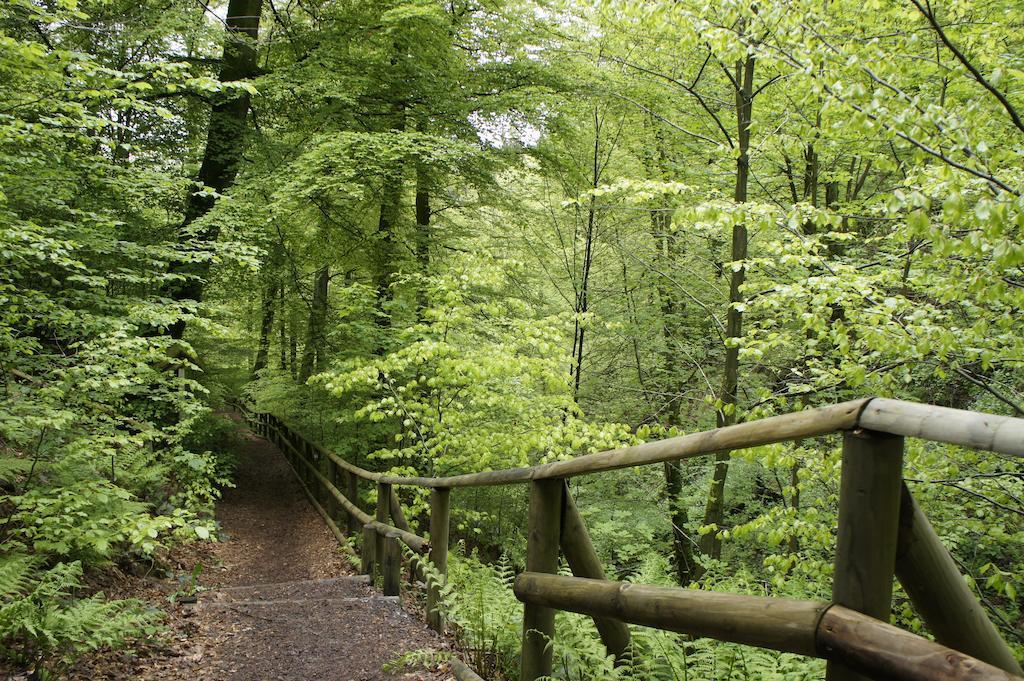 Elpe Apartments Hochsauerland 外观 照片