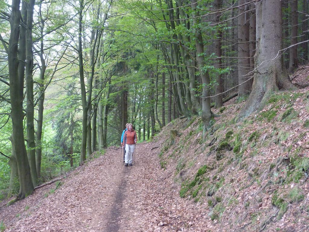Elpe Apartments Hochsauerland 外观 照片